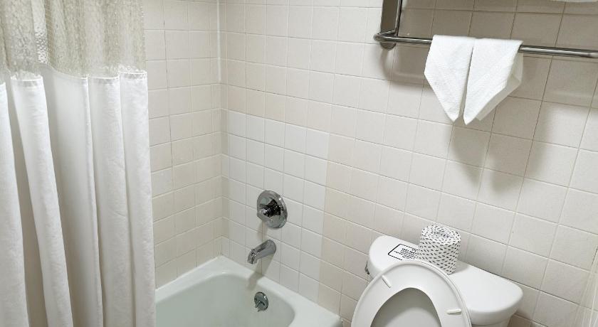 Image of Queen Suite with Spa Bath - No Pets 14