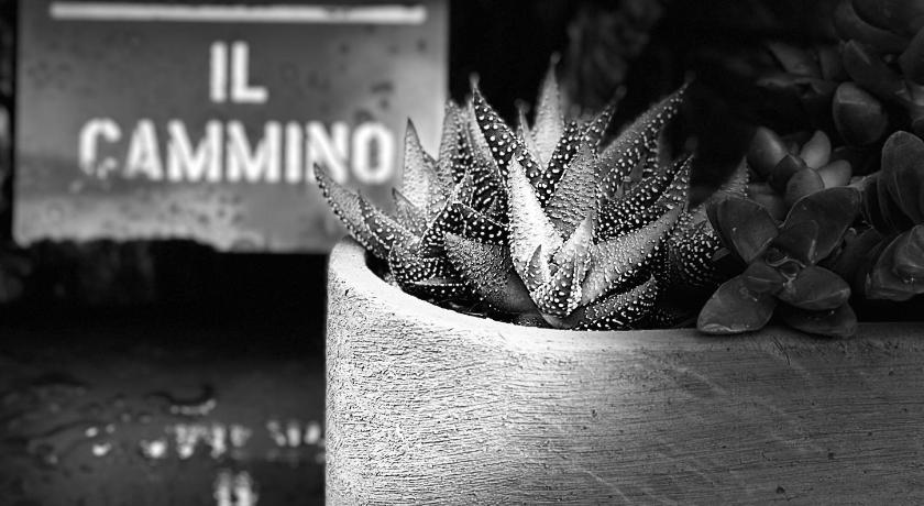 Il Cammino
