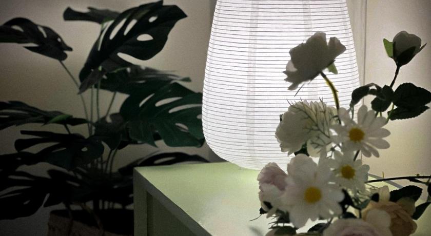 胡志明市 LIMITED OFFER !!! Little Cozy & Downtown LOFT - 400m to METRO BenThanh 4星级 单人房 设施