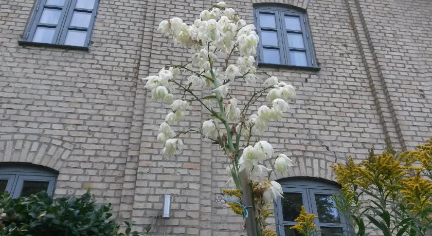 Image of Appartement (4 Volwassenen) (Apartment (4 Adults)) 13