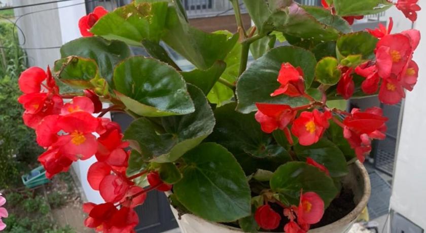 호치민 Thủ Đức home (Thu Đuc home) 호텔 부대시설