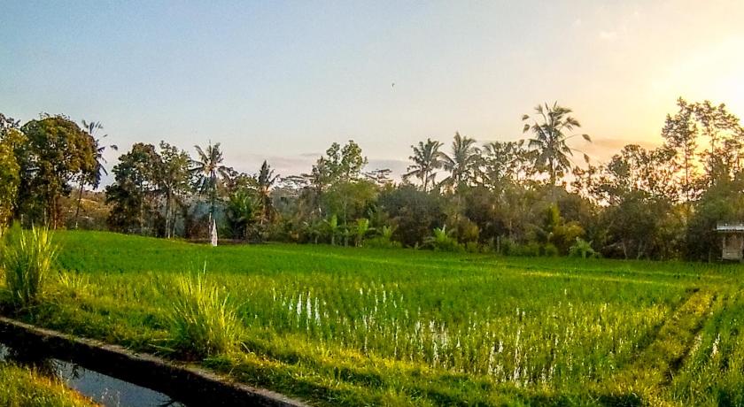 Ubud Paradise Villa photo