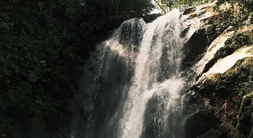 Ududola Rainforest Cottages - image 7