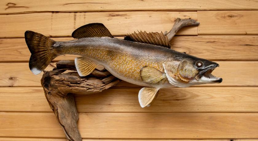 보데트 (MN) Walleye Inn 3성급 숙소 부대시설