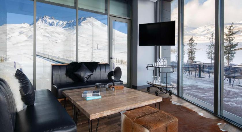 Radisson Blu Hotel Mount Erciyes - image 10