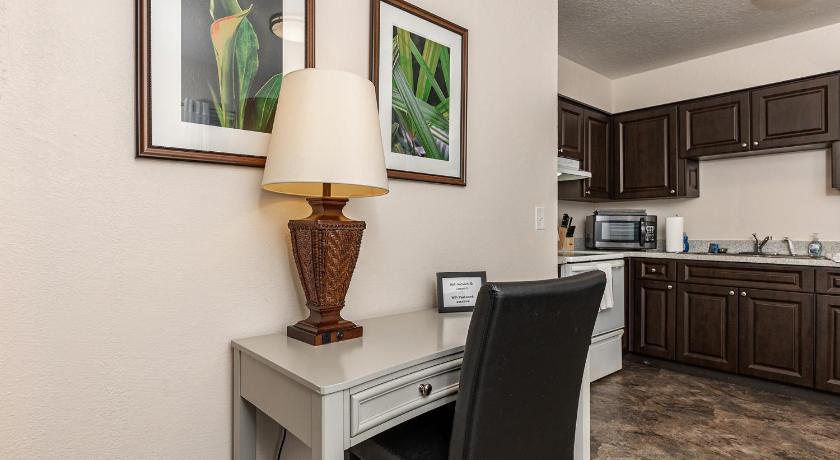 ターポン・スプリングス (FL) Luxurious 2 bedroom near Innisbrook Golf Resort! 3つ星 宿泊施設 施設