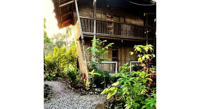 Dumaguete Bamboo Cottages -Dauin - image 5