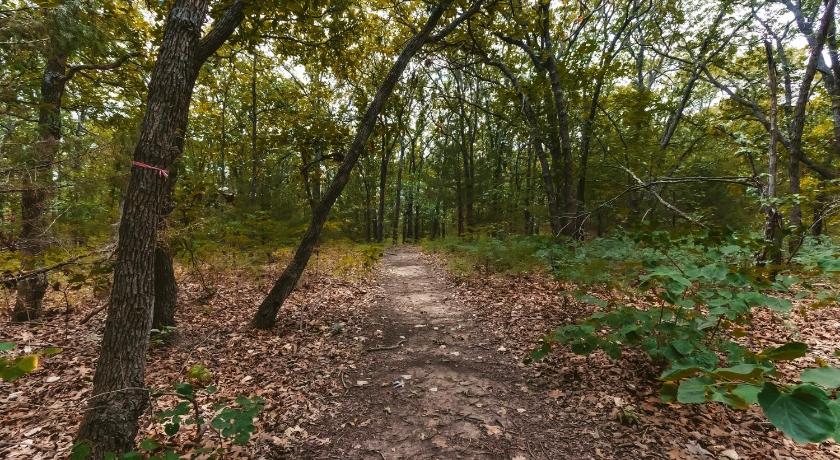 프레도니아 #4 - Amish Log Camping Cabin Walk to the Water cabin 4성급 숙소 부대시설