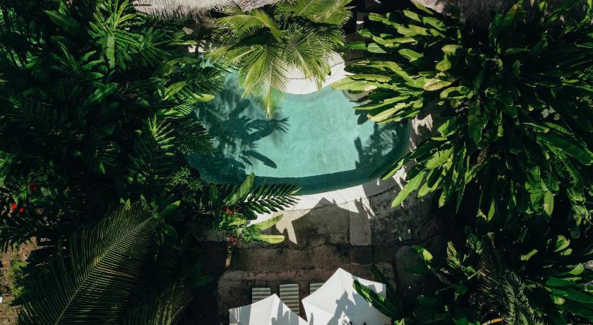 蓬塔卡拉曼卡 Conga Boutique Hotel 5星级 酒店 客房