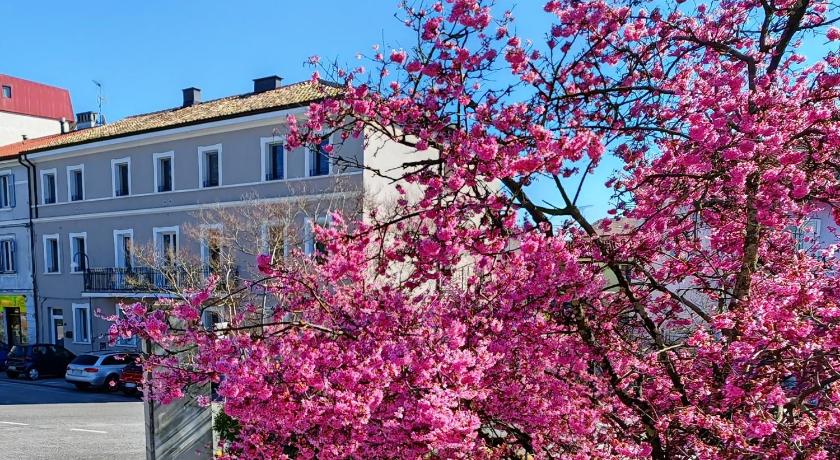 Alloggi Tosca Airport Lodges
