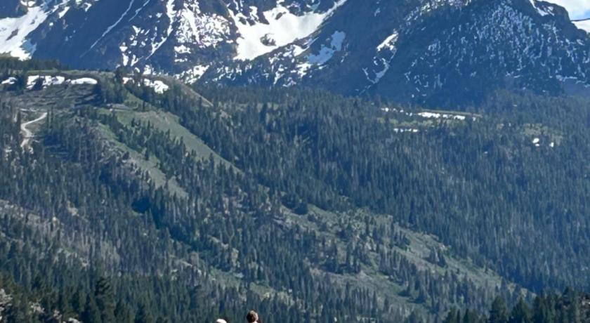 June Lake Whispering Pines 2-Star Accommodation amenity