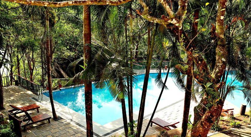 Wayanad Silverwoods Forest Resort and Spa - image 8