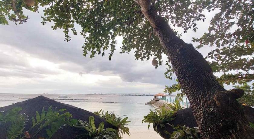 Chema's by the Sea Beach Resort - image 22