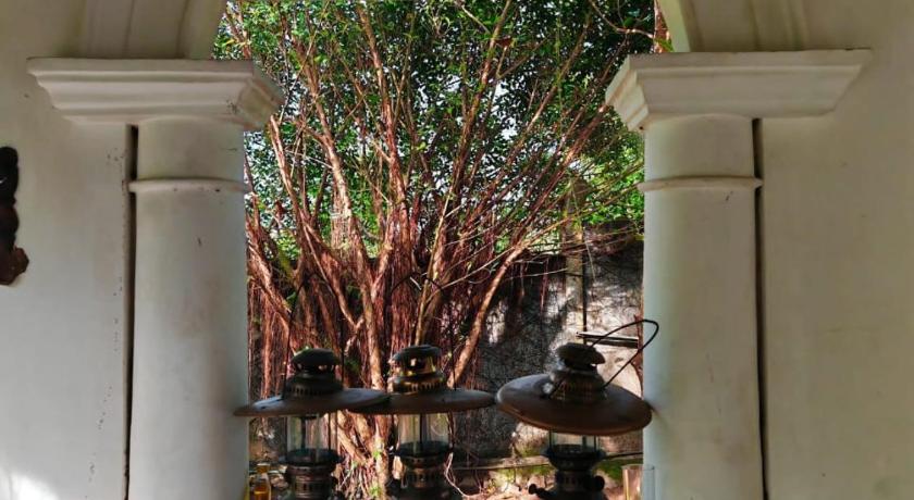 The Nature Palace Villa - image 33