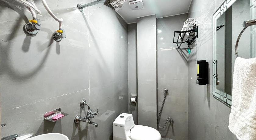 Hotel Manas Inn - image 29