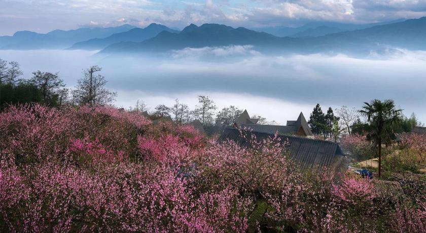 サパ Hoa Đao Hostel 4つ星 ゲストハウス スイート