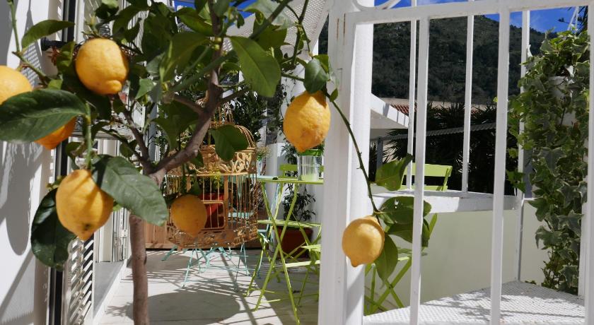 Elisir B&B photo
