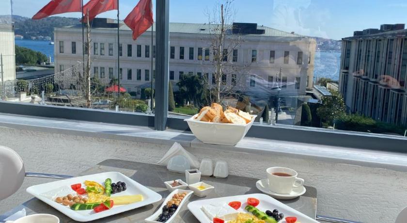 Elite World Homes Istanbul Bosphorus - image 8