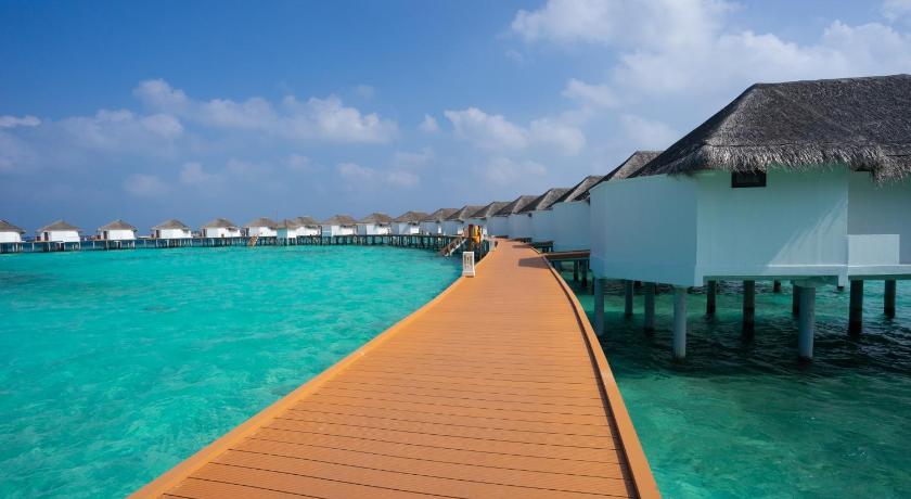 Image of Superior Water Bungalow 3