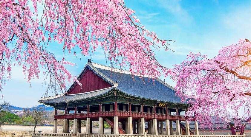 ソウル Special Offer,3 minutes to Airport Bus, 3 Bedrooms, 4 Beds, Accommodates up to 7 Guests, Near Hongje 4つ星 シングルルーム ロビー