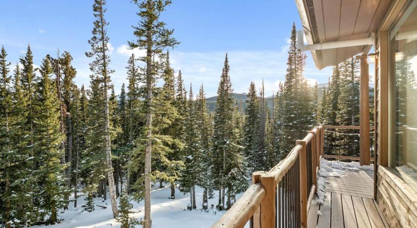 앨마 (CO) Secluded 3bed Hot tub Views 4성급 숙소 부대시설