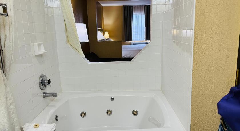 モンロー (ミシガン州) Econo Lodge Inn & Suites Monroe 2つ星 ホテル 施設