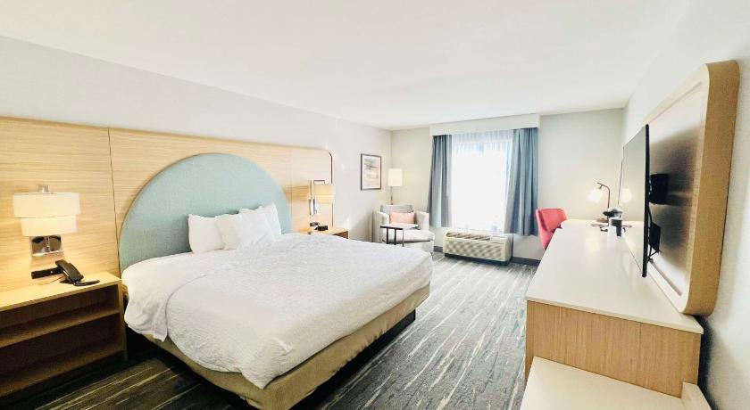 Szoba king-méretű ággyal – nemdohányzó (1 King Bed Nonsmoking) fotója 0