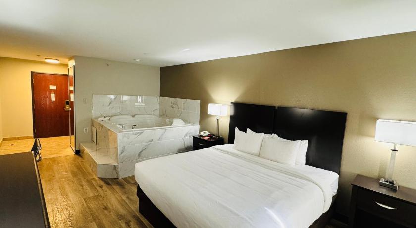 モンロー (ミシガン州) Econo Lodge Inn & Suites Monroe 2つ星 ホテル スイート