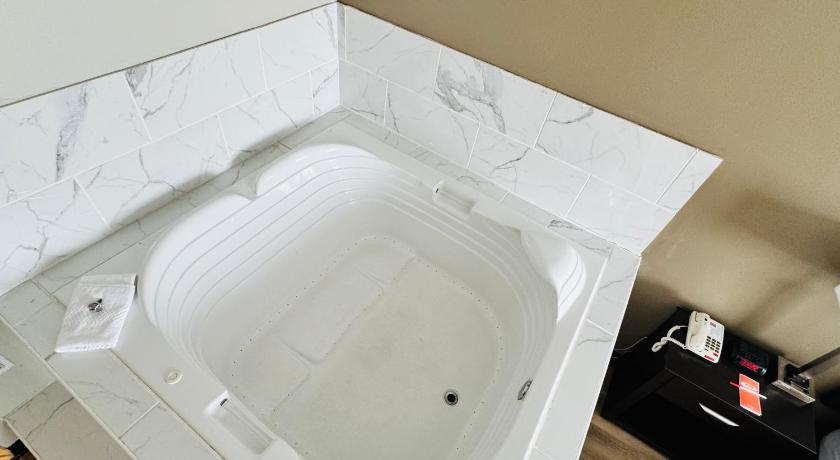 モンロー (ミシガン州) Econo Lodge Inn & Suites Monroe 2つ星 ホテル 外観