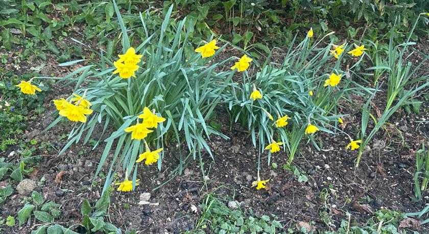 Assisi Hi Ostello Della Pace Assisi Hotel view