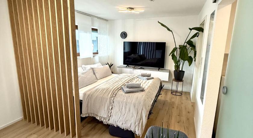 Das 1 Zimmer Apartment