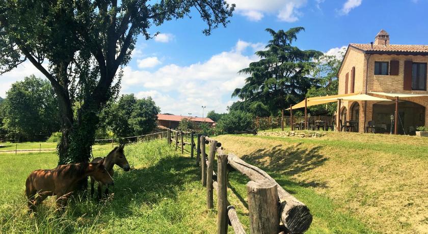 Agriturismo Il Colle del Falco