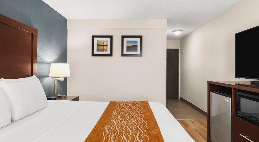 Szoba 1 king-méretű ággyal – nemdohányzó, akadálymentesített (1 King Bed, Nonsmoking, Accessible) fotója 0