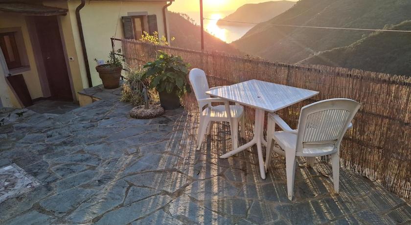 Il vigneto