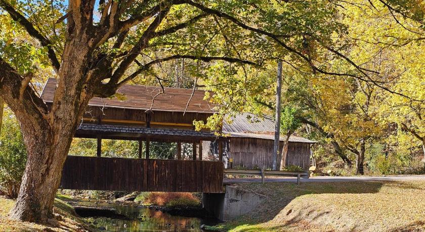 红沸泉 Salt Lick Creek Cottage 4星级 住宿 设施