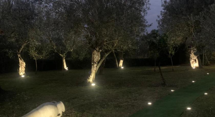 Tenuta degli Uliveti