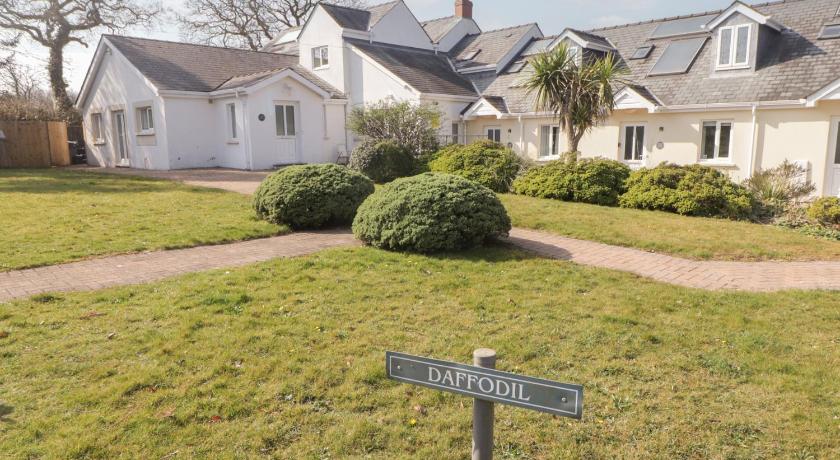 Daffodil Apartment
