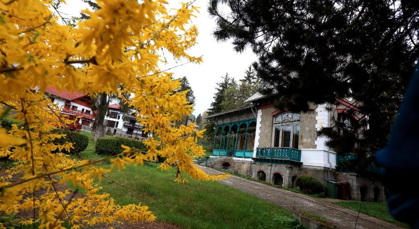 Olala Vila Sinaia photo