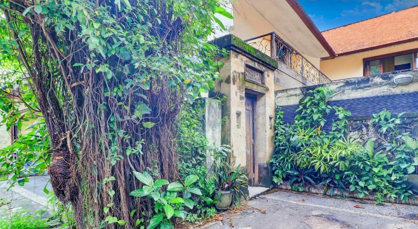 巴厘 Collection O Putri Inn Homestay 4星级 酒店 餐厅