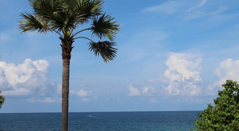 Clara's Beach Inn - image 15