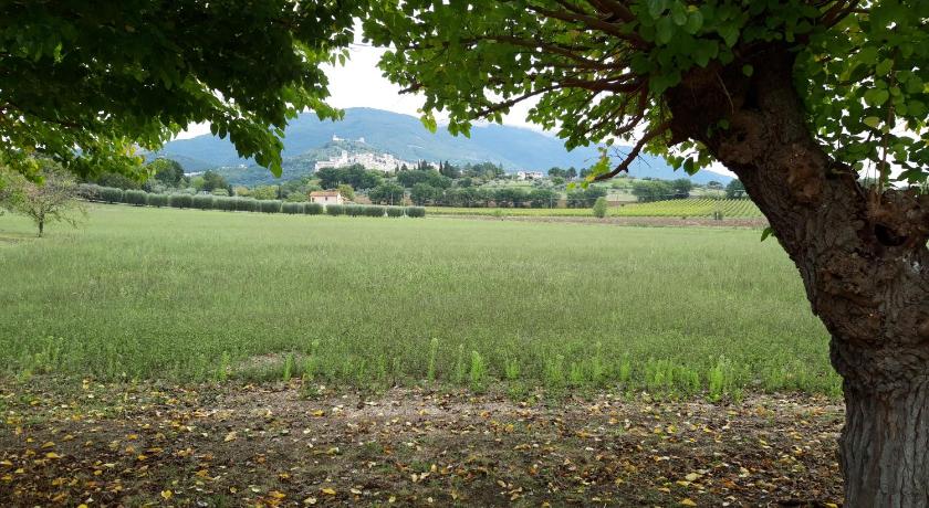 阿西西 La Quiete Assisi 3星级 民宿 泳池