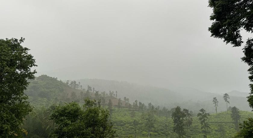 Mountain Serenity - image 16