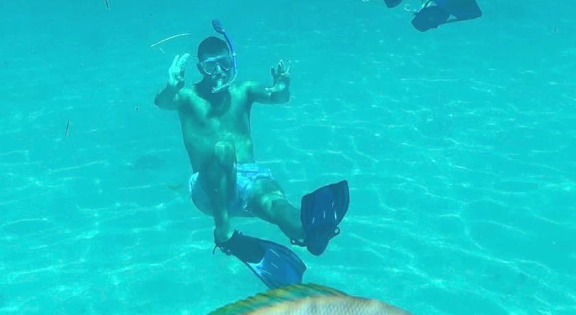 아일라모라다 (FL) Florida Keys Boat Trips Multi Activity 1성급 숙소 외관