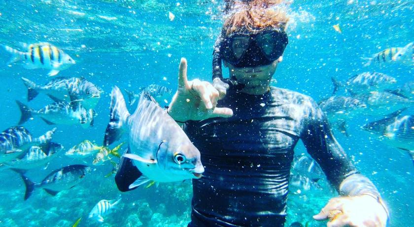 아일라모라다 (FL) Florida Keys Boat Trips Multi Activity 1성급 숙소 수영장