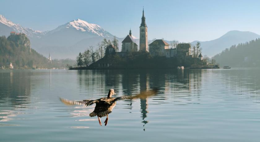 Apartments Vila Cvetka Bled — Hotel in Bled