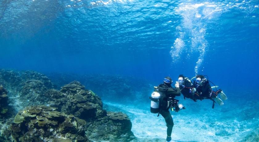 冲绳岛 Rect YOFUKE 4星级 单人房 景观