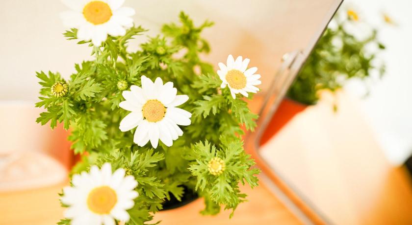 首尔 Sol Stay 酒店 餐厅