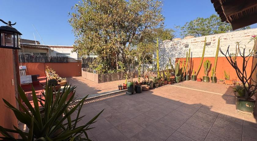 La Casa del Arbol