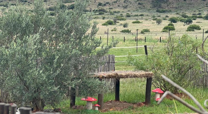 Sanctuary life guest farm