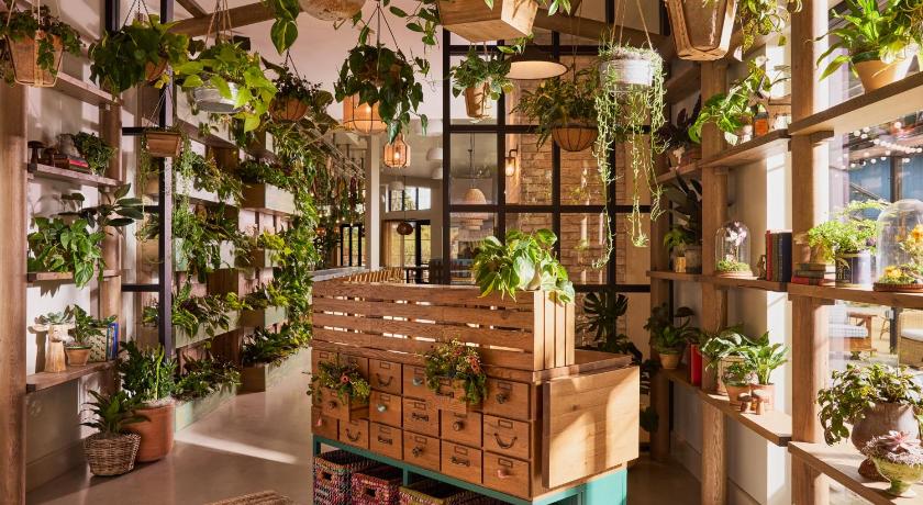 산호세 / 새너제이 (CA) Treehouse Hotel Silicon Valley 5성급 숙소 외관